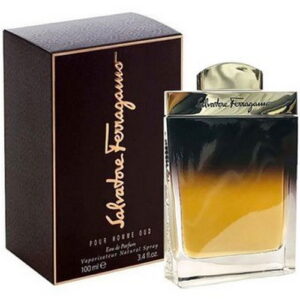 Ferragamo Pour Homme Oud by Salvatore Ferragamo 100ml