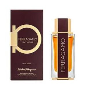 Ferragamo Spicy Leather