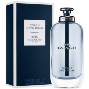COACH DREAMS DA 90ML