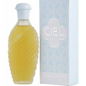 CHANTILLI 100ML